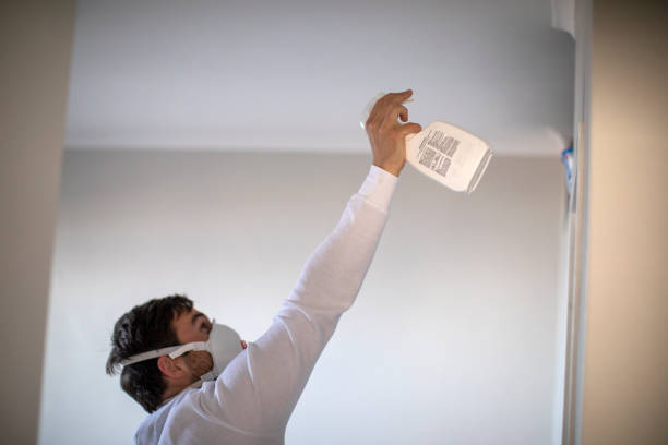 Best Emergency Mold Removal  in Versailles, KY
